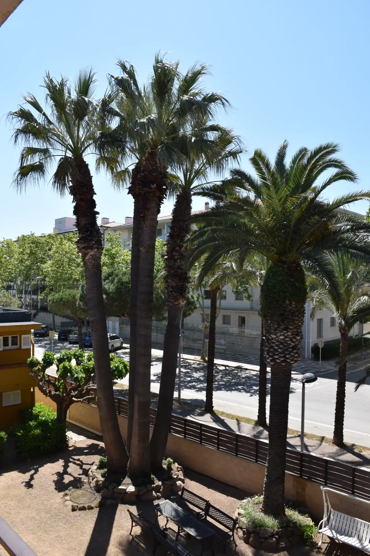Apartamentos Les Palmeres Platja d'Aro